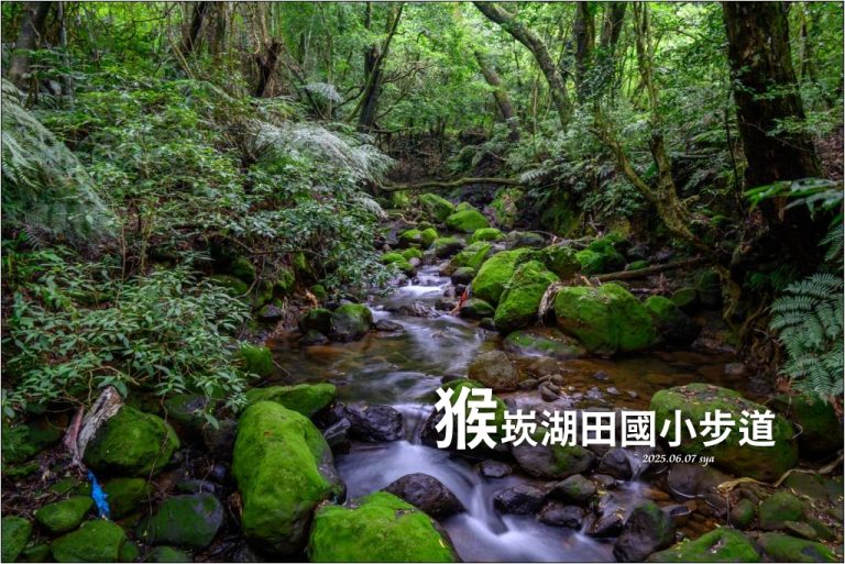 猴崁湖田國小步道|陽明山竹子湖的秘境古道,途中還有奧入瀨溪般的小溪美景 1 猴崁湖田國小步道