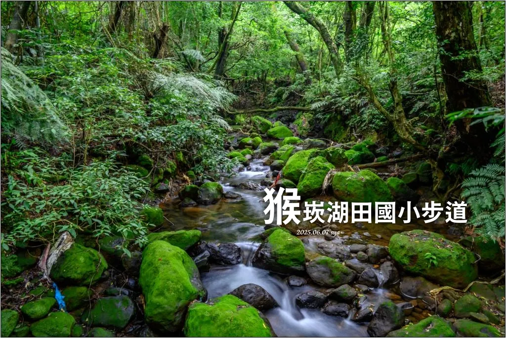 湖田國小步道