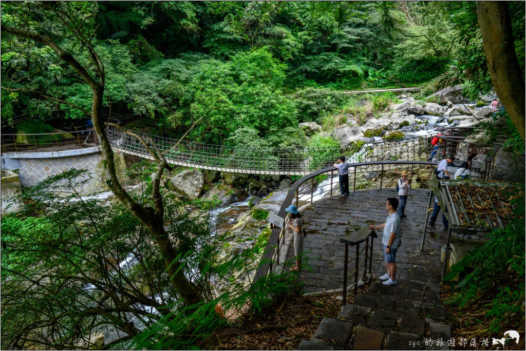 猴崁湖田國小步道|陽明山竹子湖的秘境古道,途中還有奧入瀨溪般的小溪美景 39 猴崁湖田國小步道|陽明山竹子湖的秘境古道,途中還有奧入瀨溪般的小溪美景