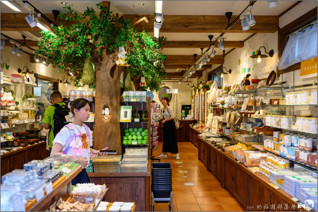 湯布院自由行|辻馬車、金鱗湖、湯之坪街道特色全攻略,九州夢幻溫泉鄉 21 由布院 湯之坪街道