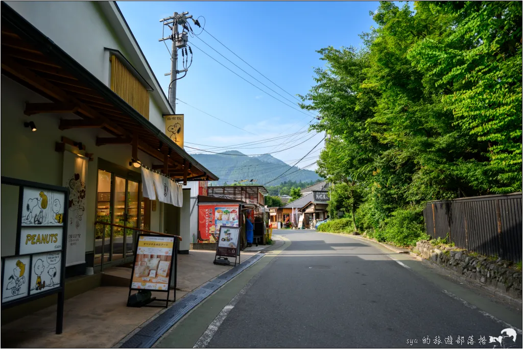 湯布院自由行|辻馬車、金鱗湖、湯之坪街道特色全攻略,九州夢幻溫泉鄉 39 由布院 湯之坪街道