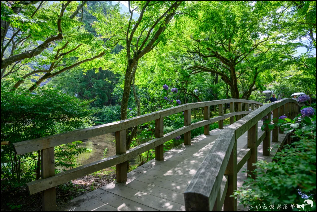 金麟湖|由布院人氣景點!為什麼金麟湖會冒煙?探秘夢幻晨霧與最佳觀賞時間 6 由布院 湯之坪街道 金麟湖