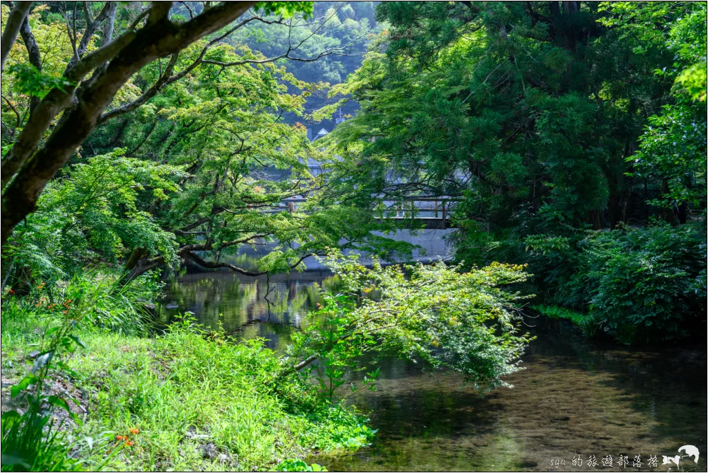 金麟湖|由布院人氣景點!為什麼金麟湖會冒煙?探秘夢幻晨霧與最佳觀賞時間 7 由布院 湯之坪街道 金麟湖
