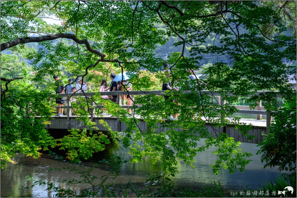 金麟湖|由布院人氣景點!為什麼金麟湖會冒煙?探秘夢幻晨霧與最佳觀賞時間 16 由布院 湯之坪街道 金麟湖