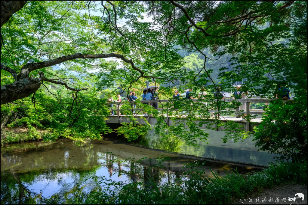 金麟湖|由布院人氣景點!為什麼金麟湖會冒煙?探秘夢幻晨霧與最佳觀賞時間 10 由布院 湯之坪街道