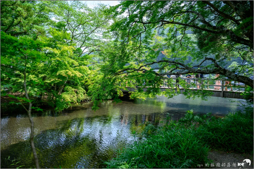 金麟湖|由布院人氣景點!為什麼金麟湖會冒煙?探秘夢幻晨霧與最佳觀賞時間 9 由布院 湯之坪街道