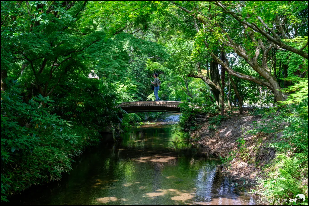 金麟湖|由布院人氣景點!為什麼金麟湖會冒煙?探秘夢幻晨霧與最佳觀賞時間 4 由布院 湯之坪街道