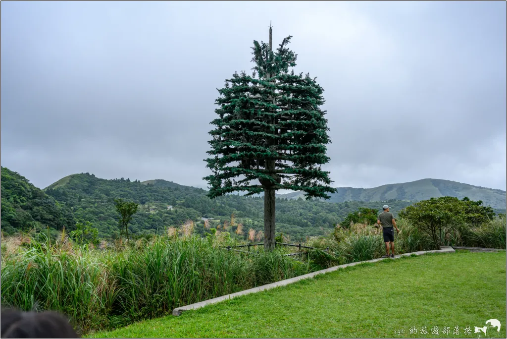 冷水坑步道 夢環湖步道