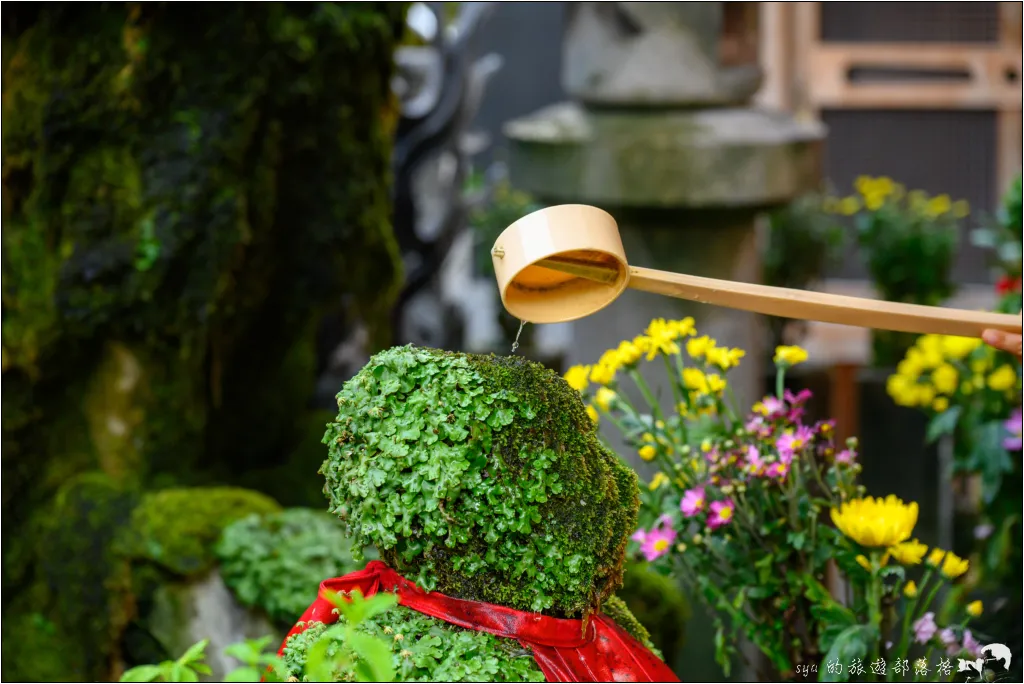 法善寺橫丁|道頓堀附近必訪的懷舊石板街與超奇特青苔覆身的「水掛不動尊」! 20 法善寺橫丁、法善寺、水掛不動尊