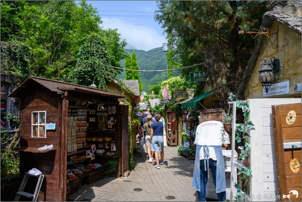 湯布院自由行|辻馬車、金鱗湖、湯之坪街道特色全攻略,九州夢幻溫泉鄉 67 湯布院花卉村