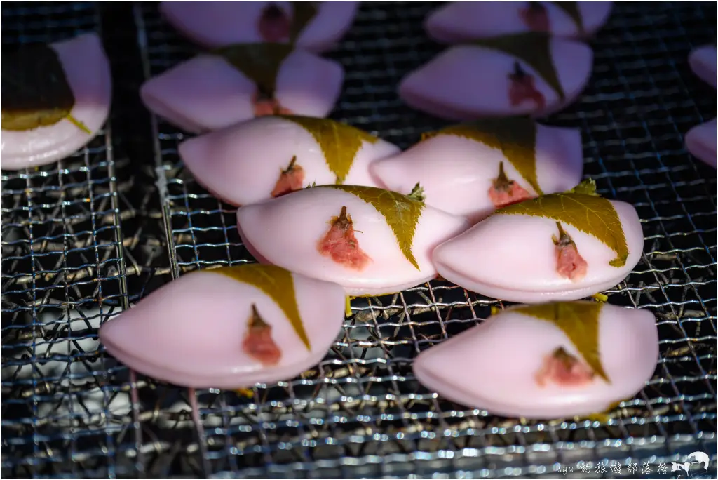 2026第36屆川津櫻花節|靜岡伊豆半島的河津櫻賞櫻攻略 37 河津櫻