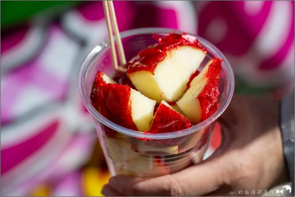 2026第36屆川津櫻花節|靜岡伊豆半島的河津櫻賞櫻攻略 49 河津櫻