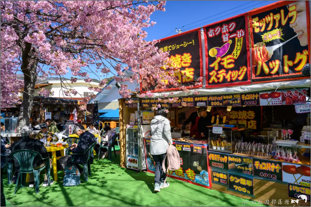 2026第36屆川津櫻花節|靜岡伊豆半島的河津櫻賞櫻攻略 36 河津櫻