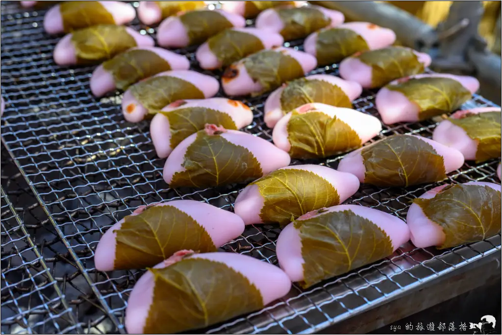 2026第36屆川津櫻花節|靜岡伊豆半島的河津櫻賞櫻攻略 38 河津櫻