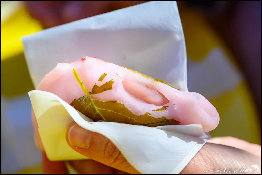 2026第36屆川津櫻花節|靜岡伊豆半島的河津櫻賞櫻攻略 39 河津櫻