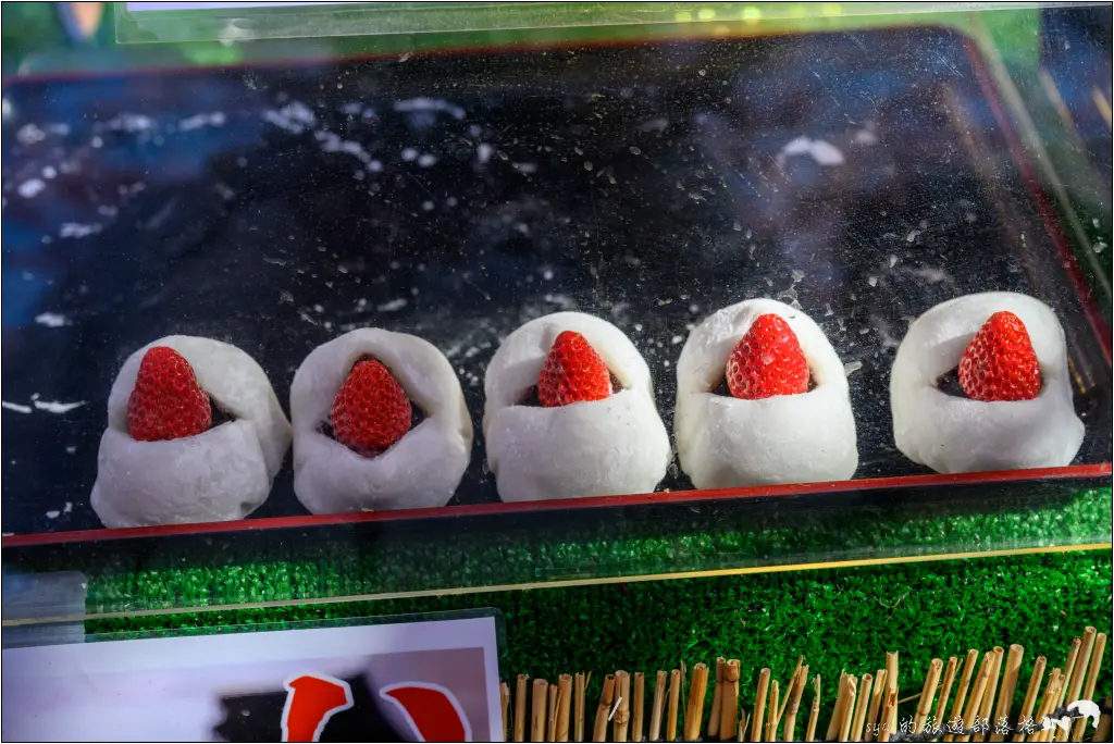 2026第36屆川津櫻花節|靜岡伊豆半島的河津櫻賞櫻攻略 55 河津櫻