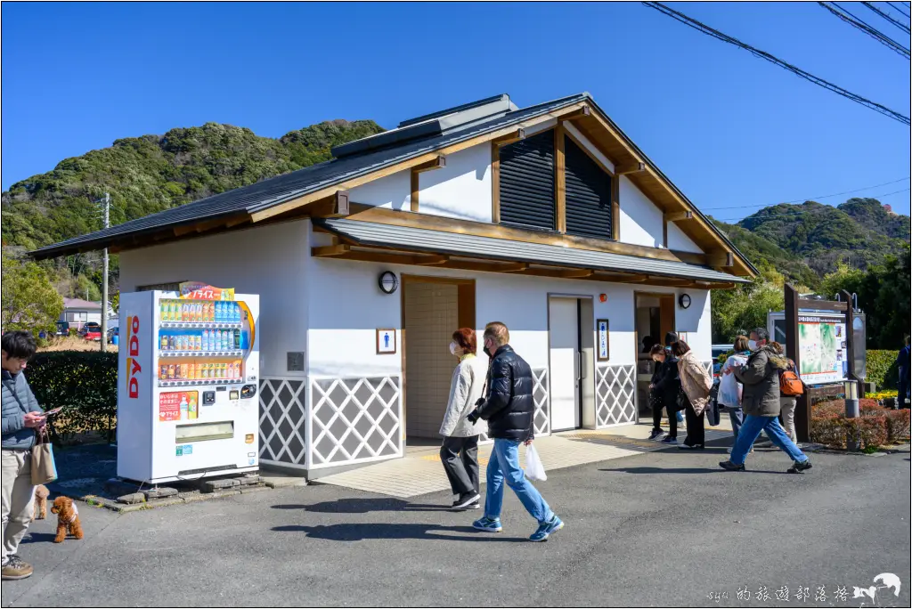 2026第36屆川津櫻花節|靜岡伊豆半島的河津櫻賞櫻攻略 76 河津櫻