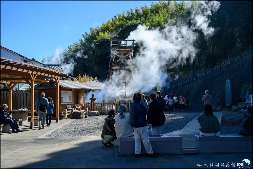 2026第36屆川津櫻花節|靜岡伊豆半島的河津櫻賞櫻攻略 25 河津櫻