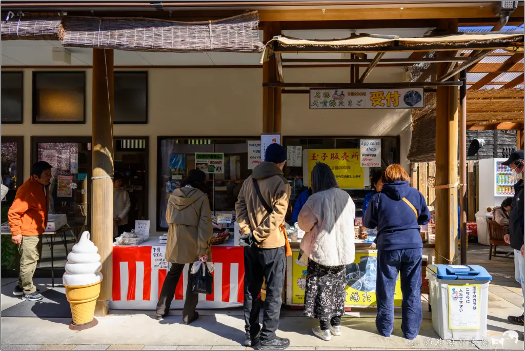 2026第36屆川津櫻花節|靜岡伊豆半島的河津櫻賞櫻攻略 26 河津櫻
