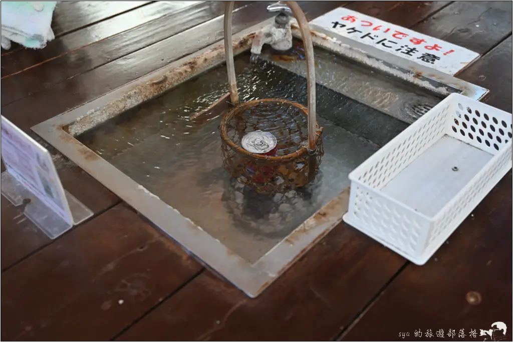 2026第36屆川津櫻花節|靜岡伊豆半島的河津櫻賞櫻攻略 27 河津櫻