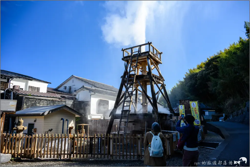 2026第36屆川津櫻花節|靜岡伊豆半島的河津櫻賞櫻攻略 21 河津櫻