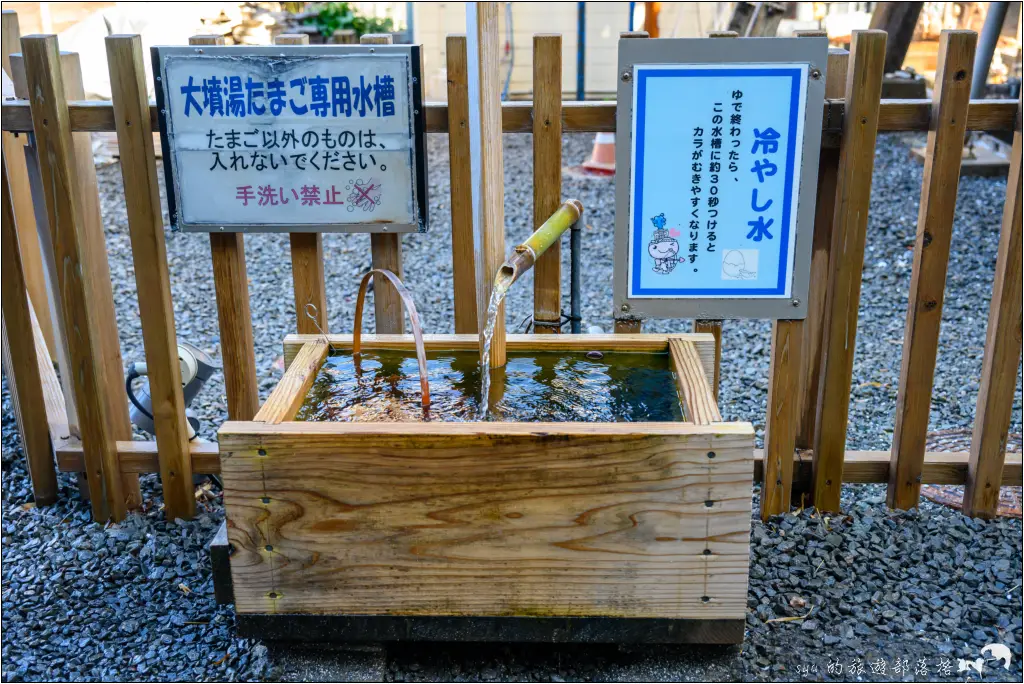 2026第36屆川津櫻花節|靜岡伊豆半島的河津櫻賞櫻攻略 31 河津櫻