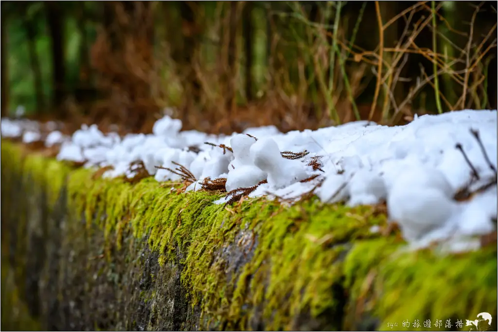 日光東照宮 奧社參道
