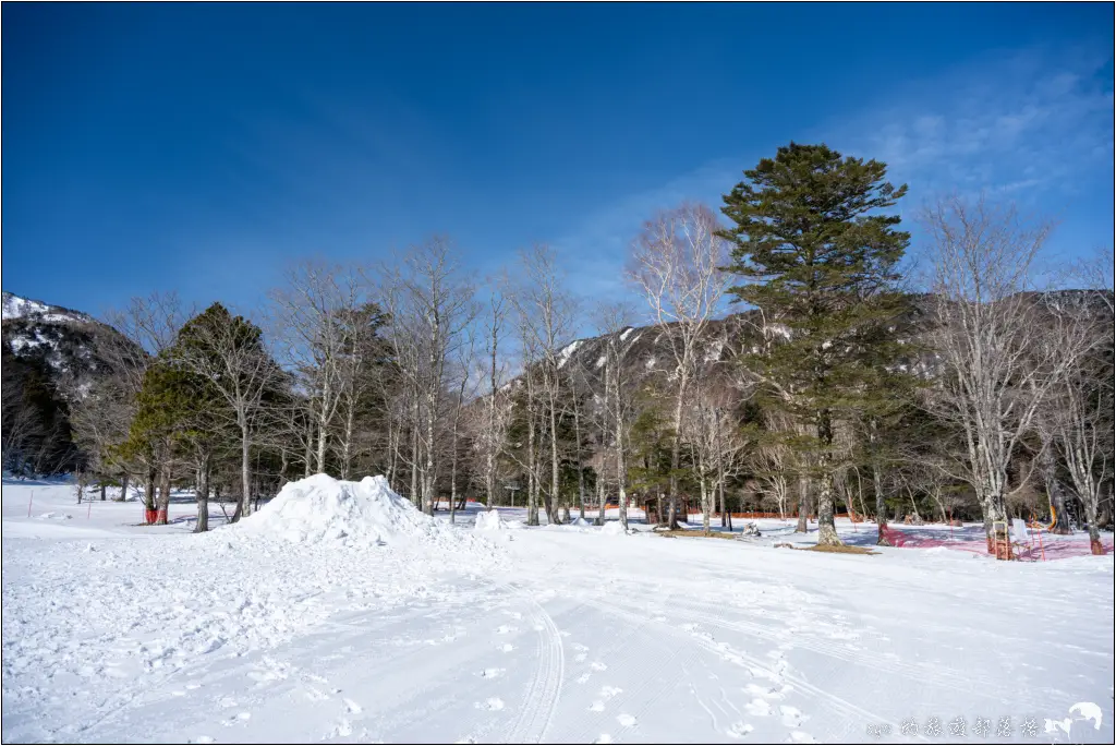 日光湯元滑雪場|避開人潮的粉雪秘境,初學者與親子滑雪的推薦雪場。而且還能滑雪完秒泡湯! 21 休暇村日光湯元 日光湯元滑雪場