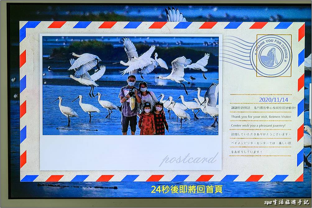 也有多款模擬候鳥飛行的互動式多媒體遊戲，最後都能夠以類似明信片的方式讓遊客拍照留影、做個紀念！