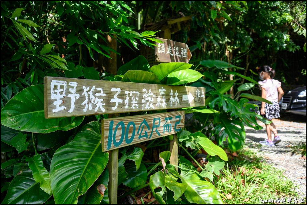 依照工作人員的指示停好車後，從這個門進去一路而上就可以通往野猴子探險森林