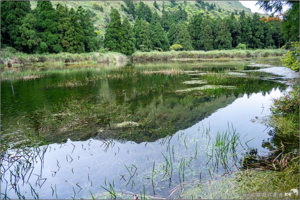 夢幻湖的水深基本上不超過一公尺，湖底是珍稀的保育類植物「台灣水韭」的唯一自然棲地