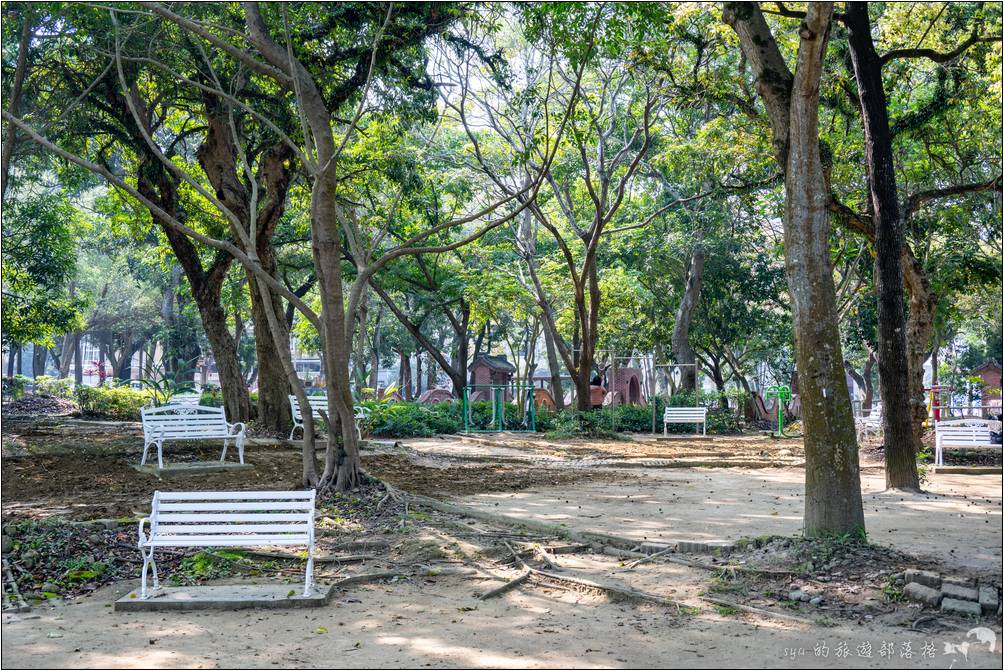 嘉義公園的一部份是原本的嘉義植物園，因此這裡的樹木高聳、植栽豐富，走在這裡相當的舒服