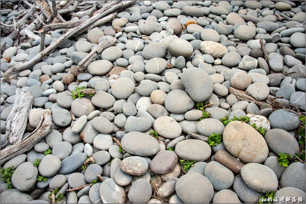 海岸上佈滿了橢圓形的南田石，但這個路段的石塊較大，大小約1.5個腳掌長，因此間隙較大，走起來較為不穩、不好走