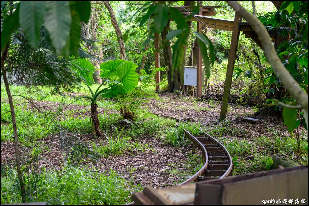 園區裏的森林鐵道，好像是運送一些木材、器材時會使用到