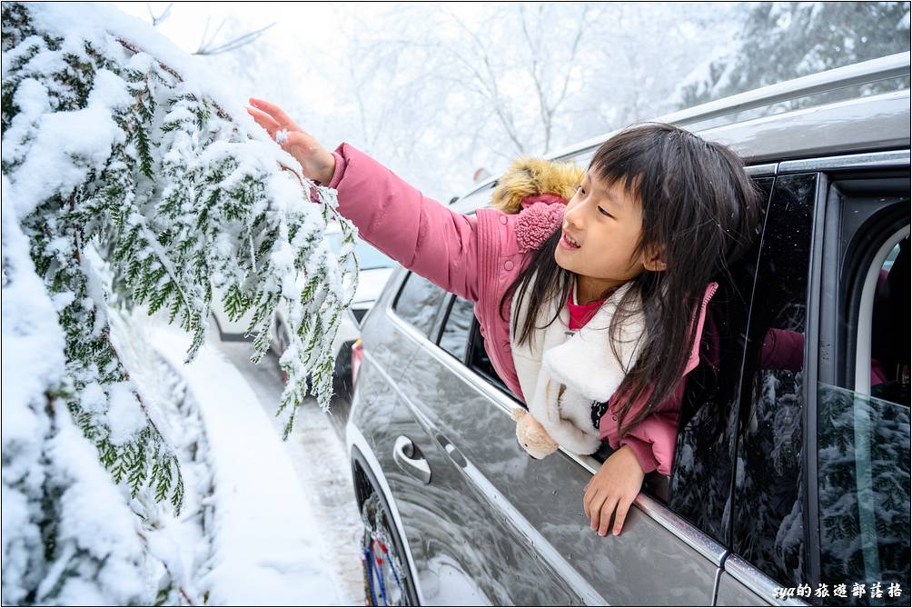 途中我們剛好停在一個伸手就能摸到冰的樹旁，兩個小丫頭很開心的馬上搖下車窗，第一次觸摸樹上鬆軟的雪花。