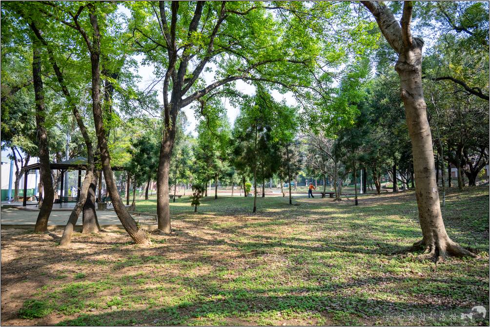 嘉義公園內樹木相當的茂密，散步在公園的路徑上或是漫步在草坪間都非常的舒服